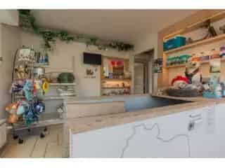 Huis te koop Grimbergen - Investering Praktijk Woning