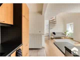 Duplex te koop - Dilbeek RBU02919


In optie