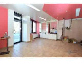 Handelspand Biesme te koop - Wonen en Werken