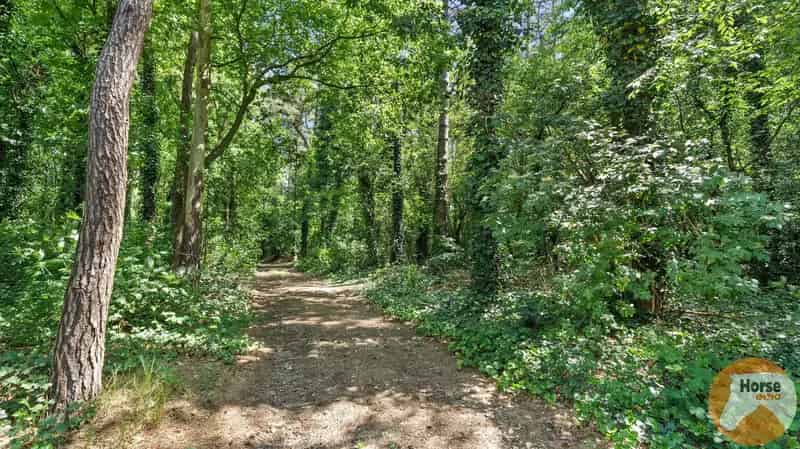BERINGEN Ruime Woning Projectgrond 7 Bouwplaatsen