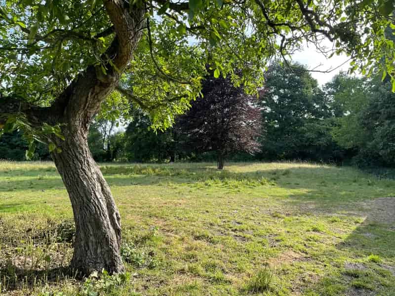 Landelijke woning te koop Berlare