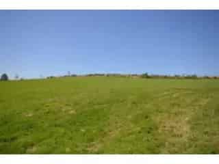 Grond te koop - Ruime hectare grond nabij E420