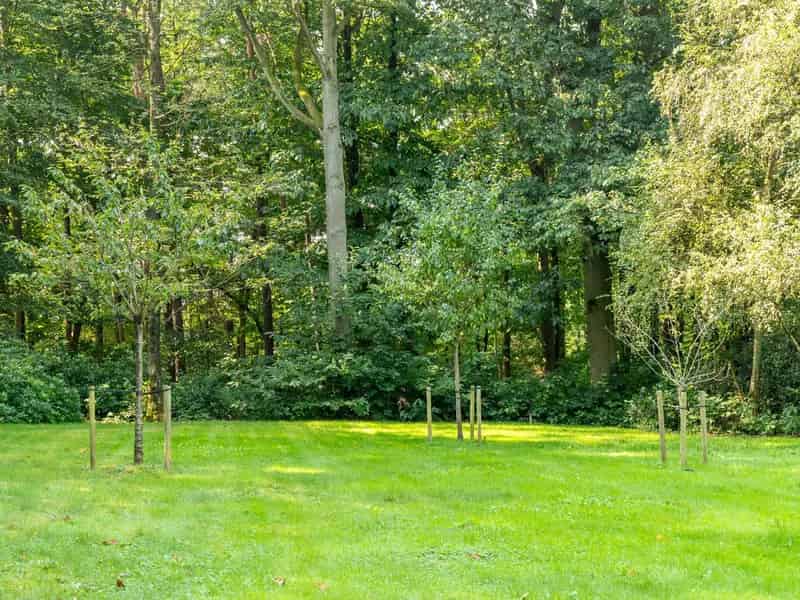 Bouwgrond Waver: Rustig perceel 68 are met mogelijkheid tot uitbreiding