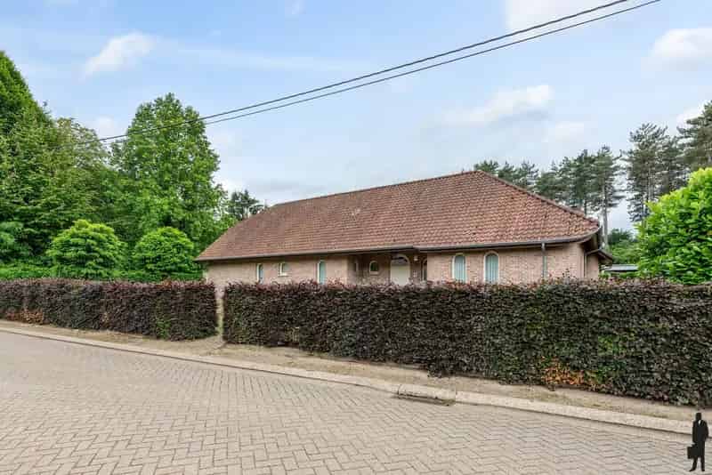 Landelijke woning te koop Lichtaart 423m²