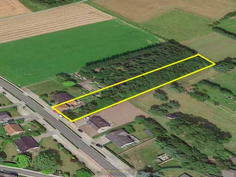 Te renoveren woning met bos - Huise