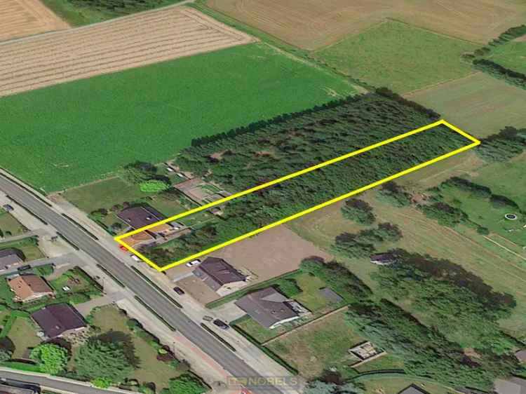 Te renoveren woning met bos - Huise