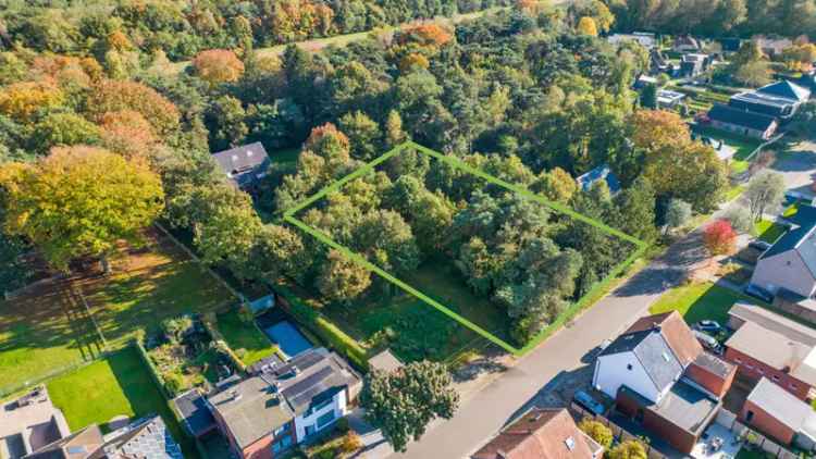 Prachtige bouwgrond van 7a 69ca op TOPlocatie te Mol Gompel