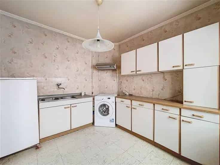 Huis Te Koop Westland Shopping 3 Slaapkamers Tuin Renovatie