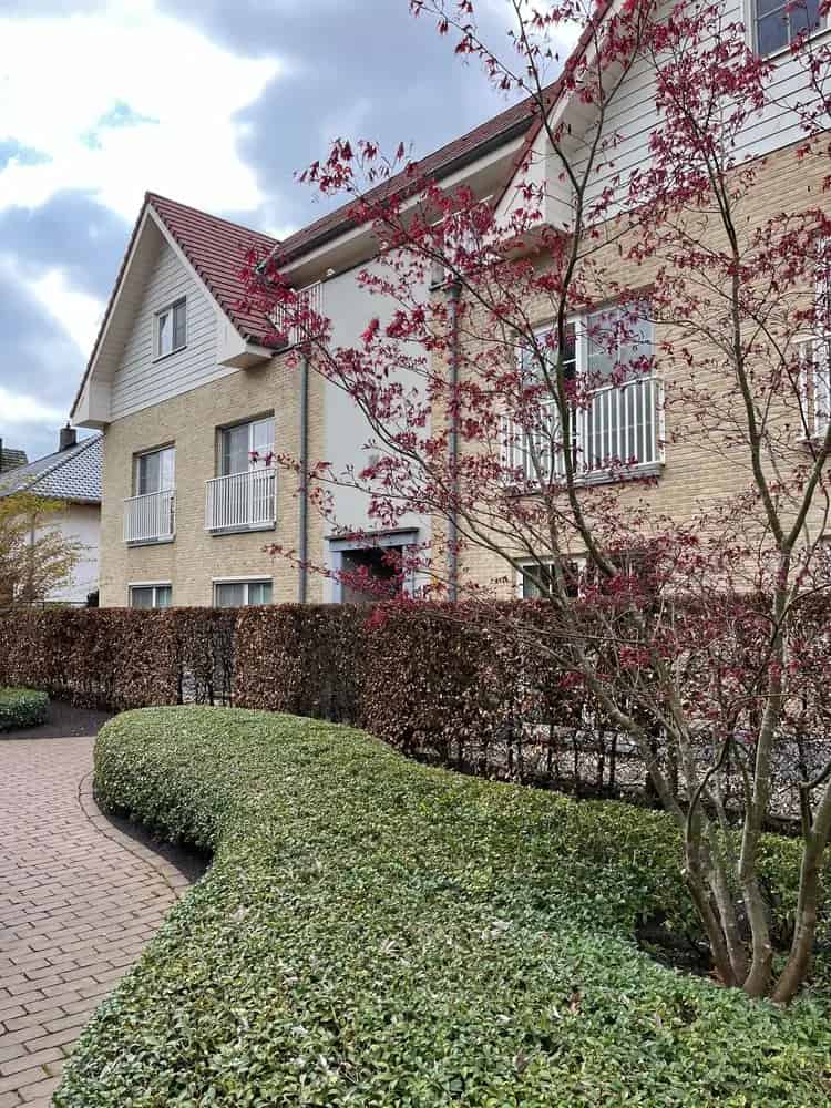 Landelijke Loft te huur Mol 3 slaapkamers Dubbel terras