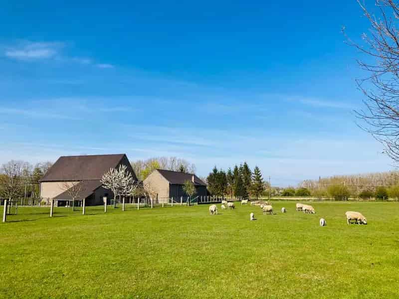 Brabantse Vierkantshoeve te Huur 5 slaapkamers