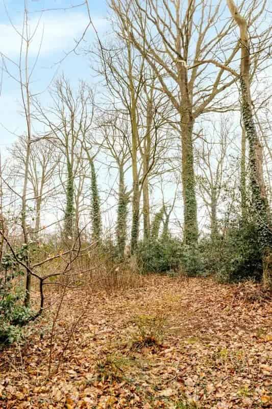 Bouwgrond 3400m² Rustige ligging West-georiënteerd