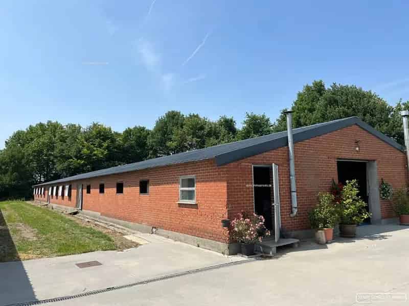 Magazijn te huur Waregem 510m²