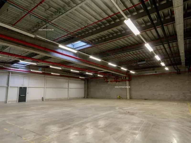 Magazijn te huur Willebroek A12 7730m2