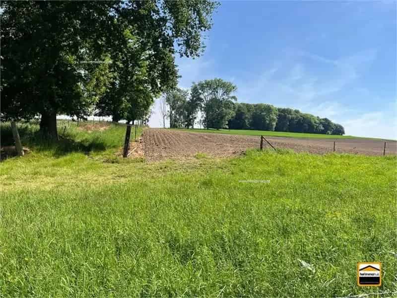 Landbouwgrond te Koop Tongeren Borgloon 2ha