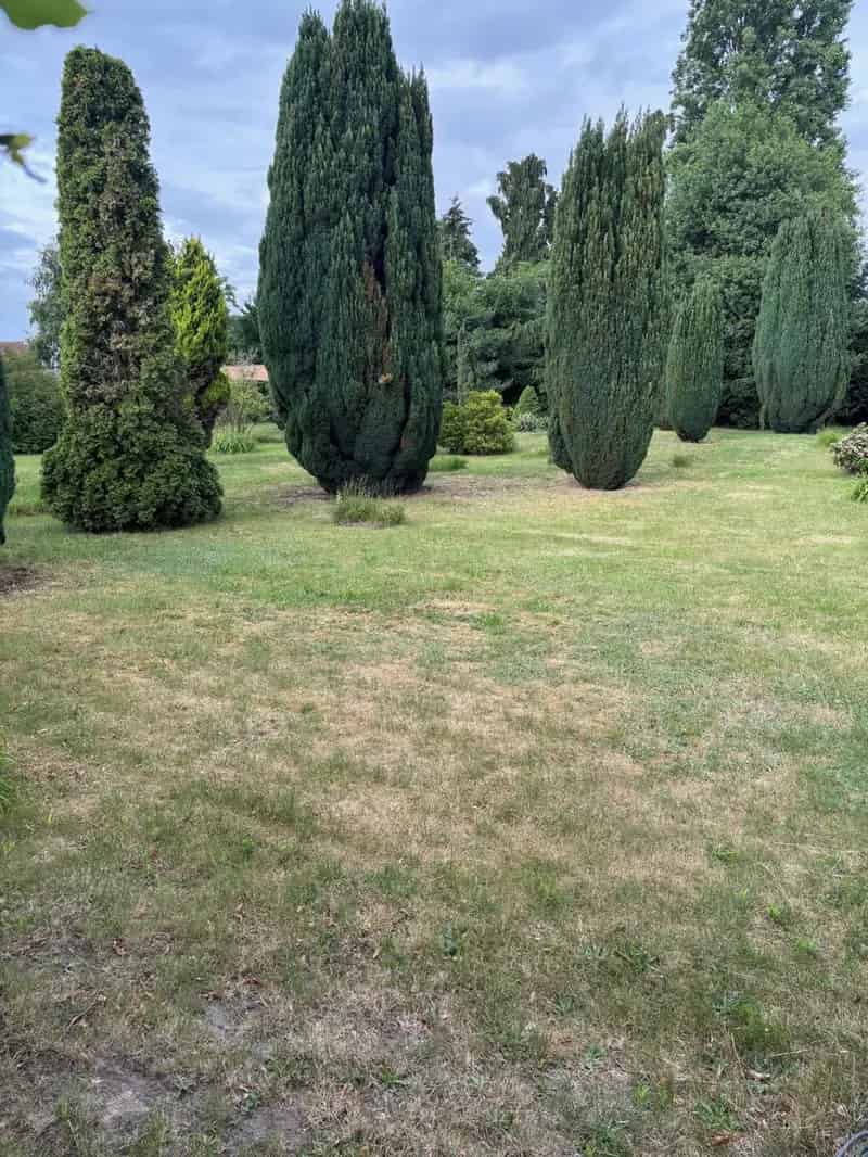 Bouwgrond te Westmalle 639m²