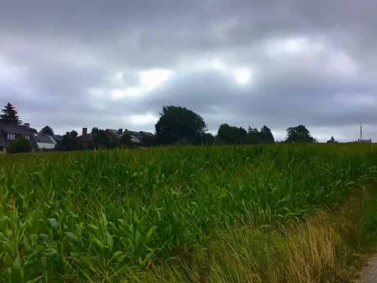 Nieuwbouwhuizen Pont-a-Celles 170m2 4 slaapkamers