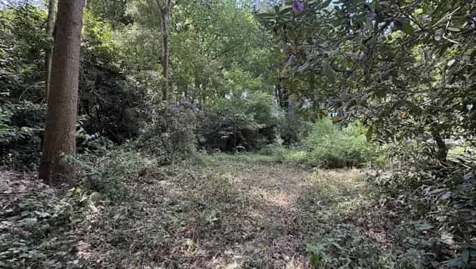 Bouwgrond te Koop Essen Wildert