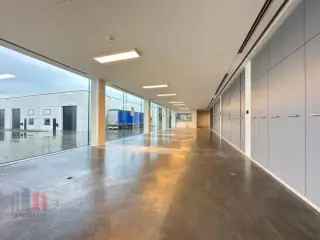 Kantoor te huur Waregem 393m²