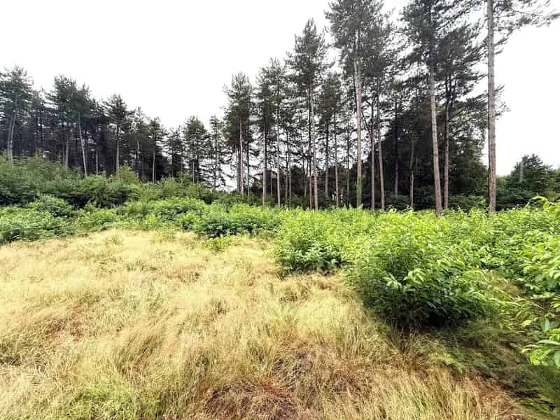 Bouwgrond te koop 1384m² Landelijke omgeving