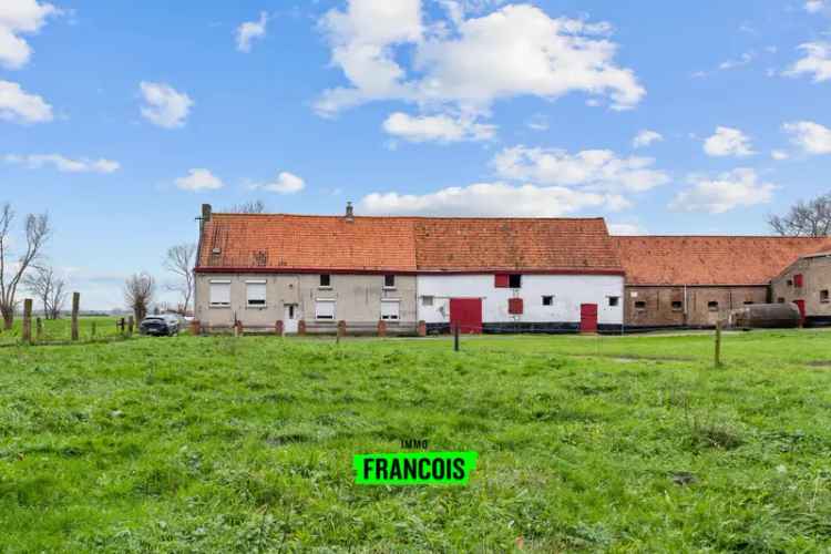 Te renoveren boerderij 53 hectare Damme