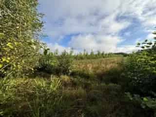 Bosgrond te koop Balen 51079m² 17752 bomen