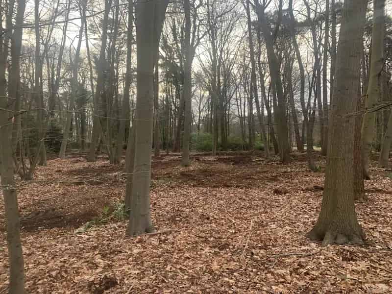 Bouwgrond te Kapellenbos Toplocatie Nabij Golfclub en Heide
