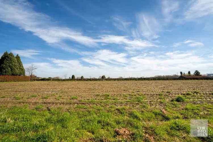 Grond kopen in Lanaken voor open bebouwing van 1099 m²