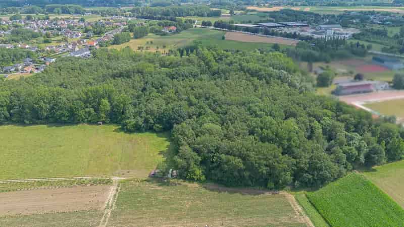 Bos te Huur Oordegem 2ha Nabij Putbosstadion