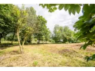 Bouwkavel te koop Les Hayons Ardennen