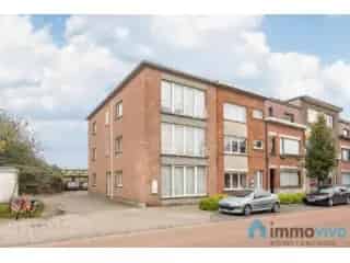 Handelsfonds Hemiksem: 3x 2-slaapkamerappartementen met garage