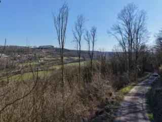 Grond te Koop Durbuy - 2301m²  Terrain Boise