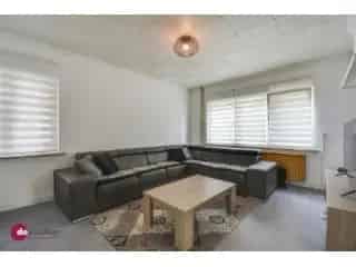 Huis te koop Schiplaken 3 slaapkamers gerenoveerd