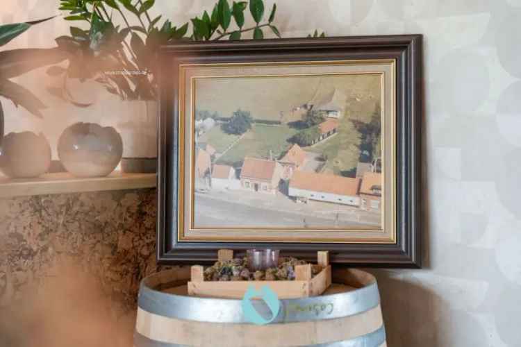 Woning te koop Wachtebeke 3 slaapkamers 14569m2