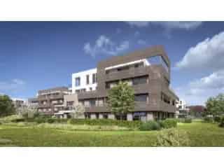 Polderpark Stabroek Project
