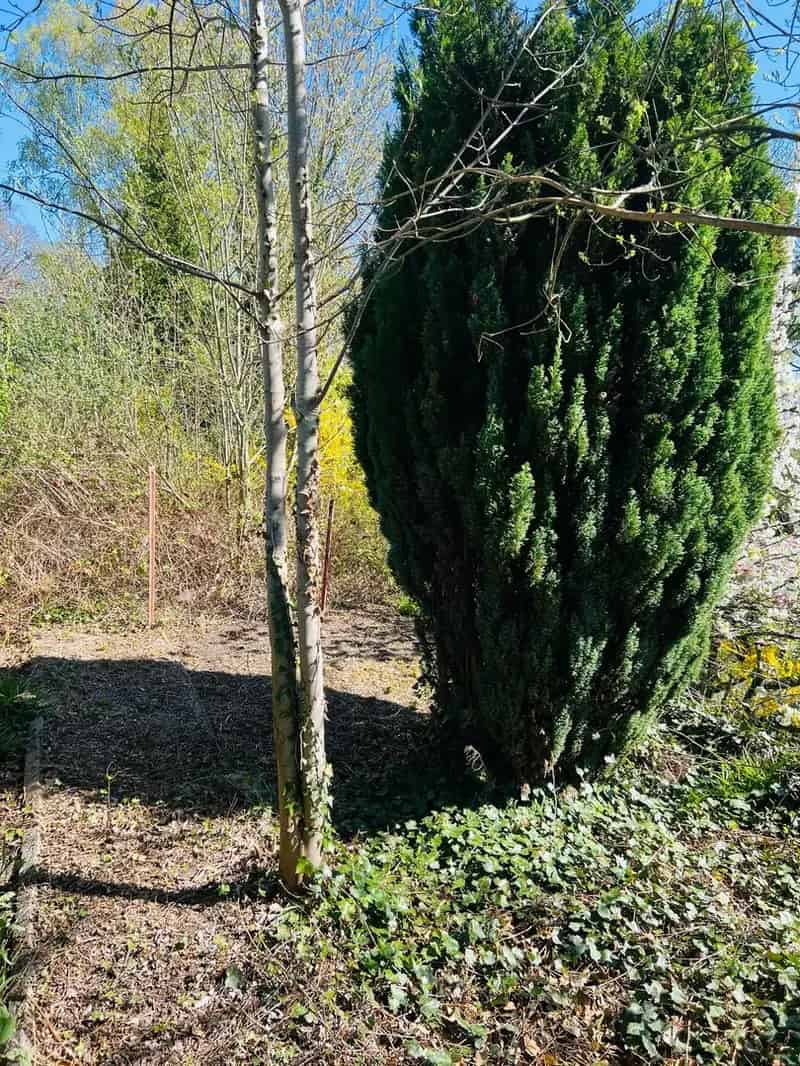 Huis te Huur Recent gerenoveerd met Tuin 3 slaapkamers