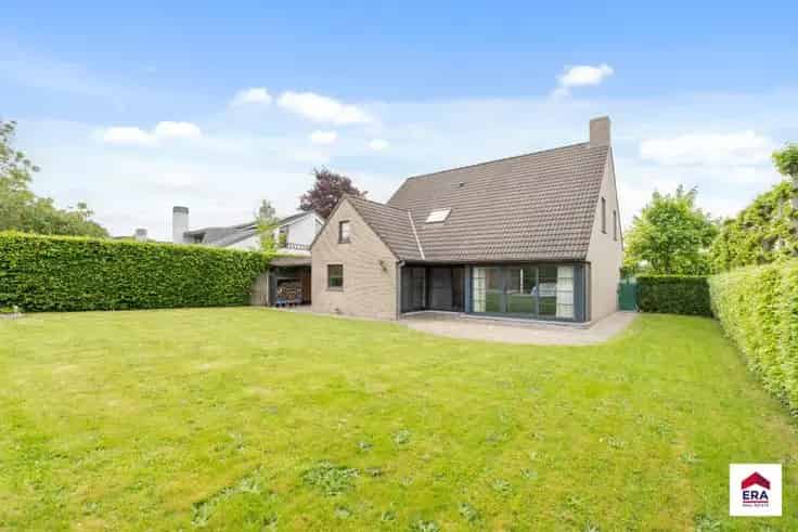 Villa te koop Hamme 4 slaapkamers zwembad instapklaar