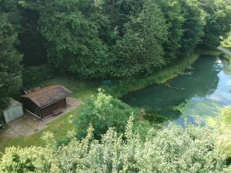 Bouwgrond te Grandrieu met vijver