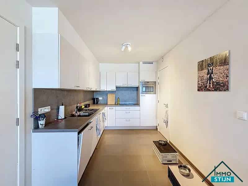 Gelijkvloers Appartement te Huur Veldegem