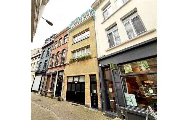 Huur 1 slaapkamer appartement van 40 m² in Antwerp