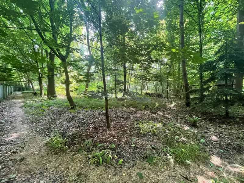 Huis te huur Bos de Strioux Villa met Bos en Bouwgrond