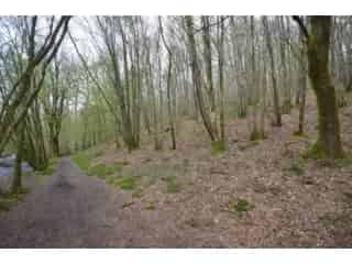 Grond te koop Oignies-En-Thiérache 4 hectare bos