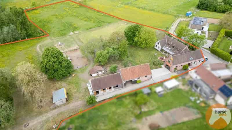 Huis te huur Zottegem: Hoeve met B&B en Stallen