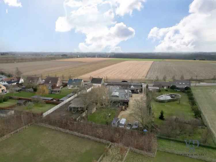 Te koop bungalow in Meilegem ruime bijgebouwen