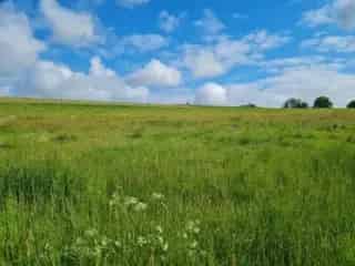 Bouwgrond te koop Berguème Tenneville 21a06ca
