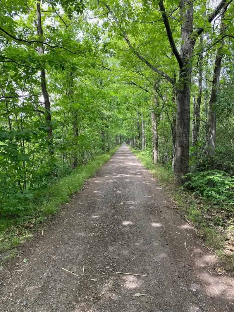 Recreatiegrond te koop Westmeerbeek natuurlijke vijver