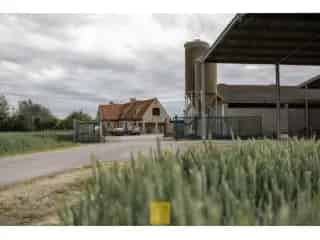 Boerderij te koop Eggewaartskapelle Veurne