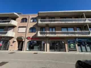 Handelspand te koop - Hasselt RBT31521