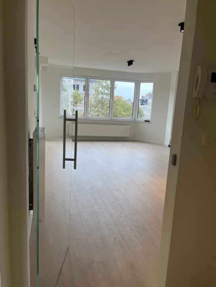 Appartement te koop Antwerpen Zuid: gerenoveerd 2 slaapkamers terras
