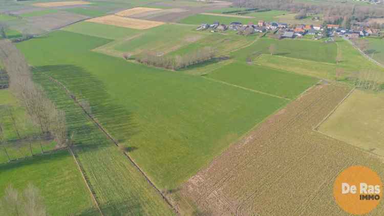 Landbouwgrond te koop in Hillegem met uitstekende locatie en ruime oppervlakte