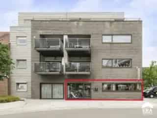 Handelspand te koop Lommel